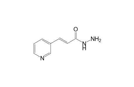 (E)-3-(pyridin-3-yl)propenehydrazide