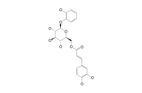 DODEGRANOSIDE-A;2-[(6-O-(E)-CAFFEOYL)-BETA-D-GLUCOPYRANOSYL]-OXYPHENOL
