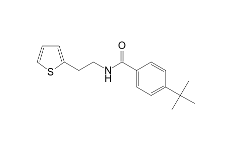4-tert-Butyl-N-[2-(2-thienyl)ethyl]benzamide