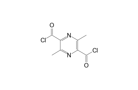 3,6-Dimethylpyrazine-2,5-dicarboxylic Acid Chloride