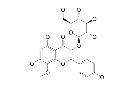 8-METHOXY-KAEMPFEROL-3-O-BETA-D-GLUCOSIDE