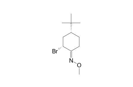 (E)-CIS-4-TERT.-BUTYL-2-BROMOCYCLOHEXANONE-O-METHYL-OXIME