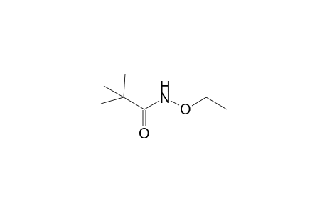 N-Ethoxy-2,2-dimethylpropanamide