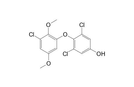 Russuphelin D [2-(2,6-Dichloro-4-hydroxyphenyloxy)-6-chloro-1,4-dimethoxybenzene]