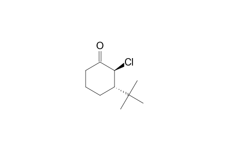 TRANS-2-CHLORO-3-(1,1-DIMETHYLETHYL)-CYCLOHEXANONE