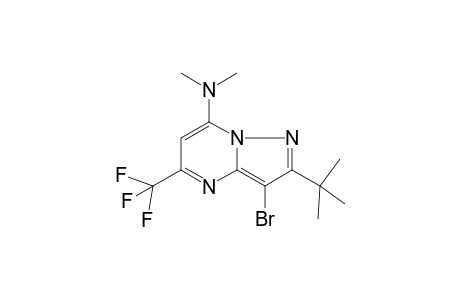 Pyrazolo[1,5-a]pyrimidine, 3-bromo-2-tert-butyl-5-trifluoromethyl-7-dimethylamino-