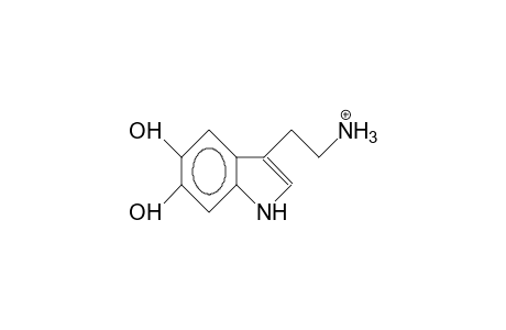5,6-Dihydroxy-tryptammonium cation