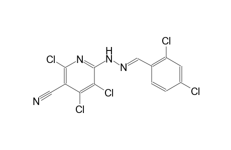 3-pyridinecarbonitrile, 2,4,5-trichloro-6-[(2E)-2-[(2,4-dichlorophenyl)methylene]hydrazino]-