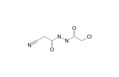 N'-(2-CHLOROACETYL)-2-CYANOACETO-HYDRAZIDE