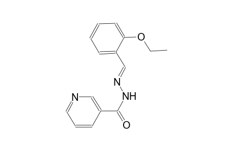 N'-[(E)-(2-ethoxyphenyl)methylidene]nicotinohydrazide