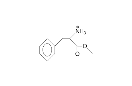 Phenylalanine methyl ester cation