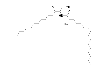 Cer 14:1;2O/16:1;(2OH)