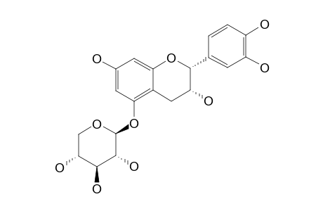 (-)-EPICATECHIN-5-O-BETA-D-XYLOPYRANOSIDE
