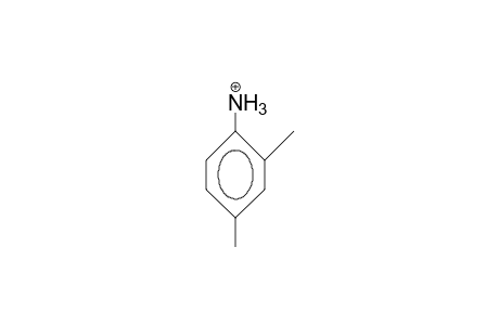 2,4-Dimethyl-anilinium cation