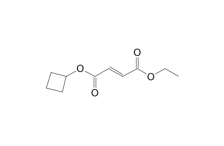 Fumaric acid, cyclobutyl ethyl ester