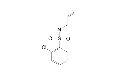 N-ALLYL-2-CHLOROBENZENE-SULFONAMIDE