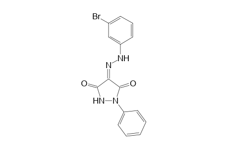 4-[2-(3-Bromophenyl)hydrazinylidene]-1-phenylpyrazolidine-3,5-dione