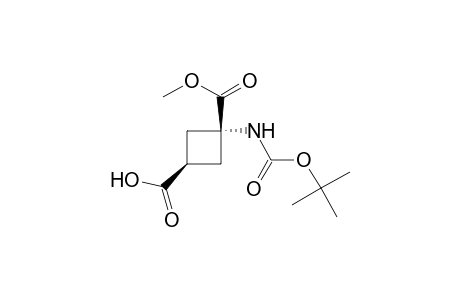 1,3-Cyclobutanedicarboxylic acid, 1-[[(1,1-dimethylethoxy)carbonyl]amino]-, 1-methyl ester, cis-