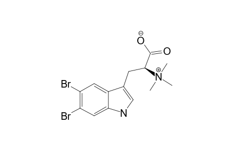 5,6-DIBROMO-L-HYPAPHORINE