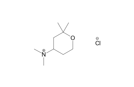 TETRAHYDRO-N,N,2,2-TETRAMETHYLPYRAN-4-AMINE, HYDROCHLORIDE