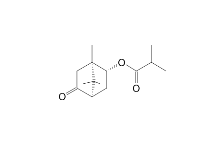 Isobornyl isobutanoate <5-oxy->