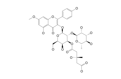 OXYTROFLAVOSIDE_B;RHAMNOCITRIN_3-O-[(S)-3-HYDROXY-3-METHYLGLUTARYL-(1->3)]-[ALPHA-L-RHAMNOPYRANOSYL-(1->2)]-BETA-D-GALACTOPYRANOSIDE