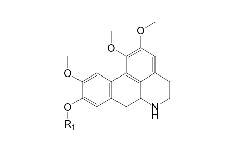 Glaucine-M (9-O-demethyl-N-demethyl-glucuronide) MS2