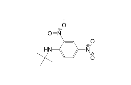 N-tert-Butyl-2,4-dinitroaniline