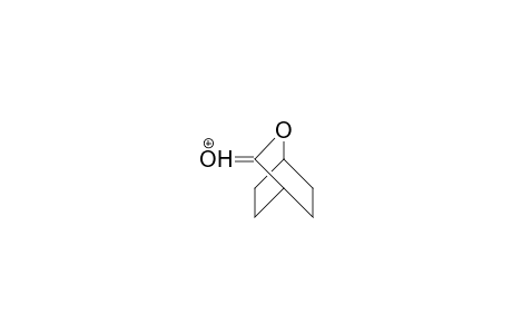 Cyclohexanecarboxylic acid, 1,4-lactone cation