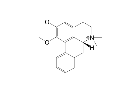 ANNONAMINE;(R)-2-HYDROXY-1-METHOXY-6,6-DIMETHYL-5,6,6A,7-TETRAHYDRO-4H-DIBENZO-[DE,G]-QUINOLIN-6-IUM