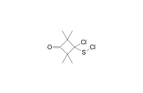 1-Chloro-2,2,4,4-tetramethyl-3-oxocyclobutane-sulfenyl chloride