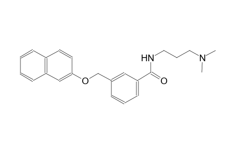N-[3-(dimethylamino)propyl]-3-[(2-naphthyloxy)methyl]benzamide