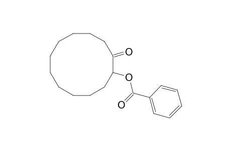 2-(Benzoyloxy)cyclododecanone