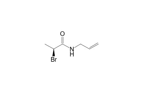 (S)-(-)-N-Allyl-2-bromopropionamide