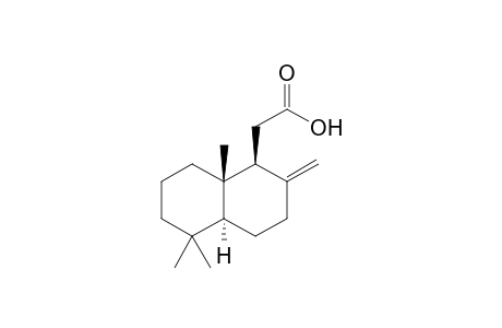 2-[(1S,4aS,8aS)-5,5,8a-trimethyl-2-methylene-decalin-1-yl]acetic acid