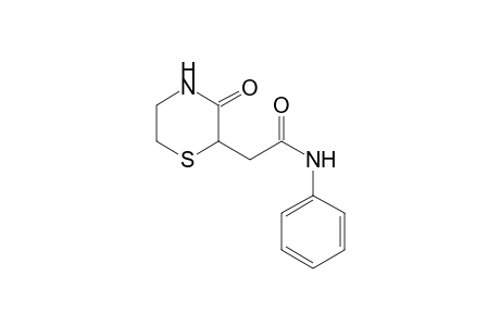 2-(3-oxothiomorpholin-2-yl)-N-phenylacetamide