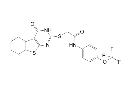 2-[(4-keto-5,6,7,8-tetrahydro-3H-benzothiopheno[2,3-d]pyrimidin-2-yl)thio]-N-[4-(trifluoromethoxy)phenyl]acetamide