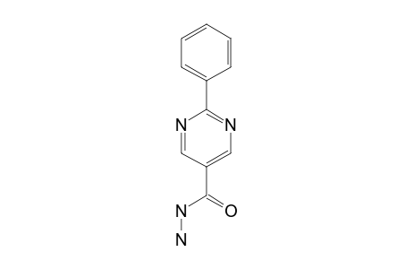 2-PHENYL-PYRIMIDINE-5-CARBOHYDRAZIDE
