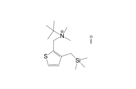 2-tert-Butyldi(methyl)amoniummethyl-3-(trimethylsilylmethyl)thiophene iodide