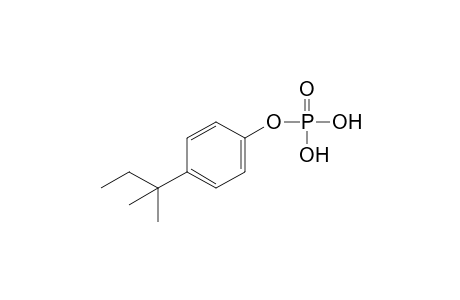 p-tert-pentylphenol, dihydrogen phosphate