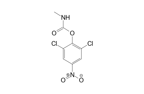 Carbamic acid, methyl-, 2,6-dichloro-4-nitrophenyl ester