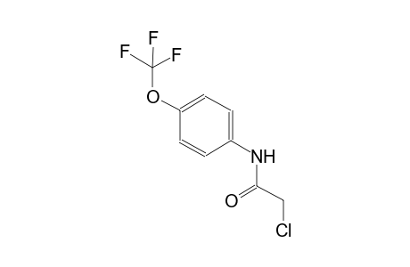 acetamide, 2-chloro-N-[4-(trifluoromethoxy)phenyl]-