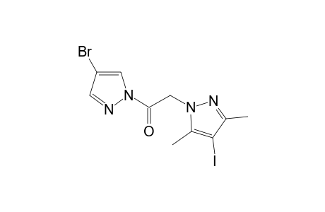 1-(4-bromo-1H-pyrazol-1-yl)-2-(4-iodo-3,5-dimethyl-1H-pyrazol-1-yl)ethan-1-one