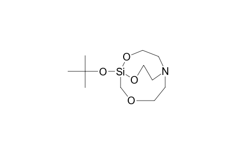 1-O-(2-CARBA-3-OXAHOMOSILATRANYL)-1,1-DIMETHYLETHANOL