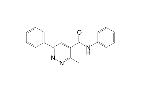 N4,6-Diphenyl-3-methyl-4-pyridazinecarboxamide