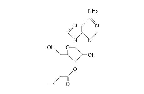 3'-O-Butyryl-adenosine