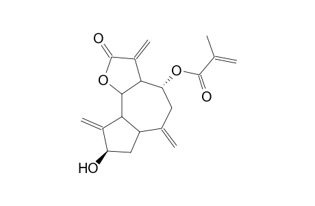 AGUERIN B