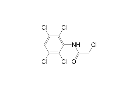 2-Chloranyl-N-[2,3,5,6-tetrakis(chloranyl)phenyl]ethanamide