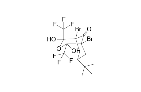 (1RS,2SR,4RS,5SR)-1,5-Dibromo-7-(tert-butyl)-2,4-dihydroxy-2,4-bis(trifluoromethyl)-3-oxabicyclo[3.3.1]nonan-9-one