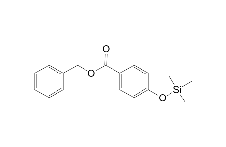 Benzyl 4-hydroxybenzoate, mono-TMS